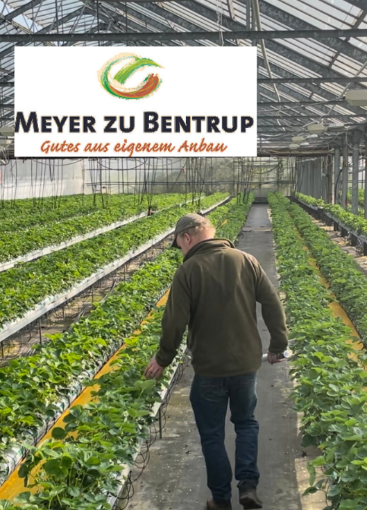 Meyer zu Bentrup