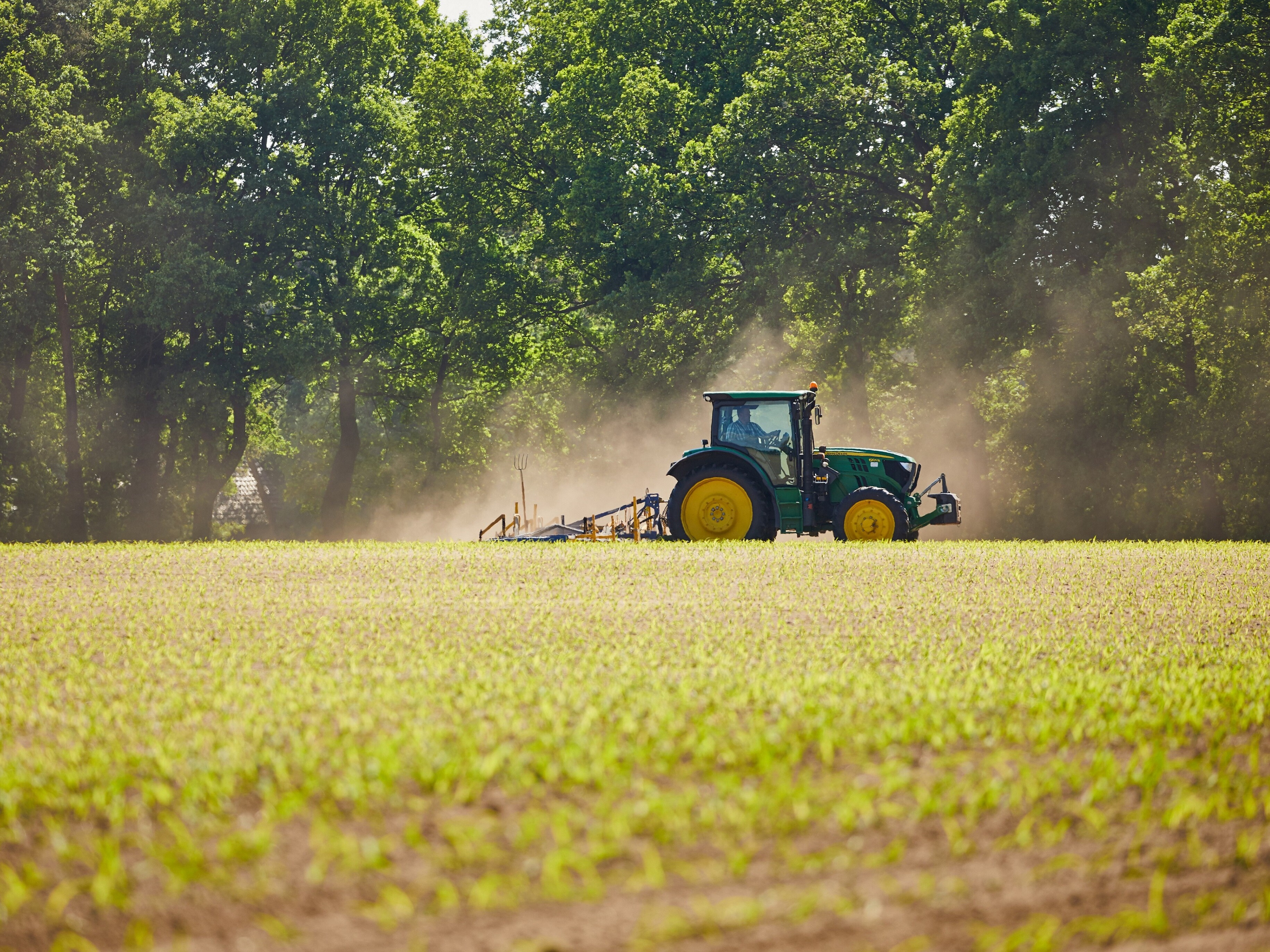 Kiebitzhof Traktor auf einem Feld