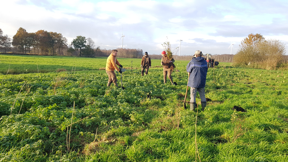 Menschen auf Feld pflanzen Bäume