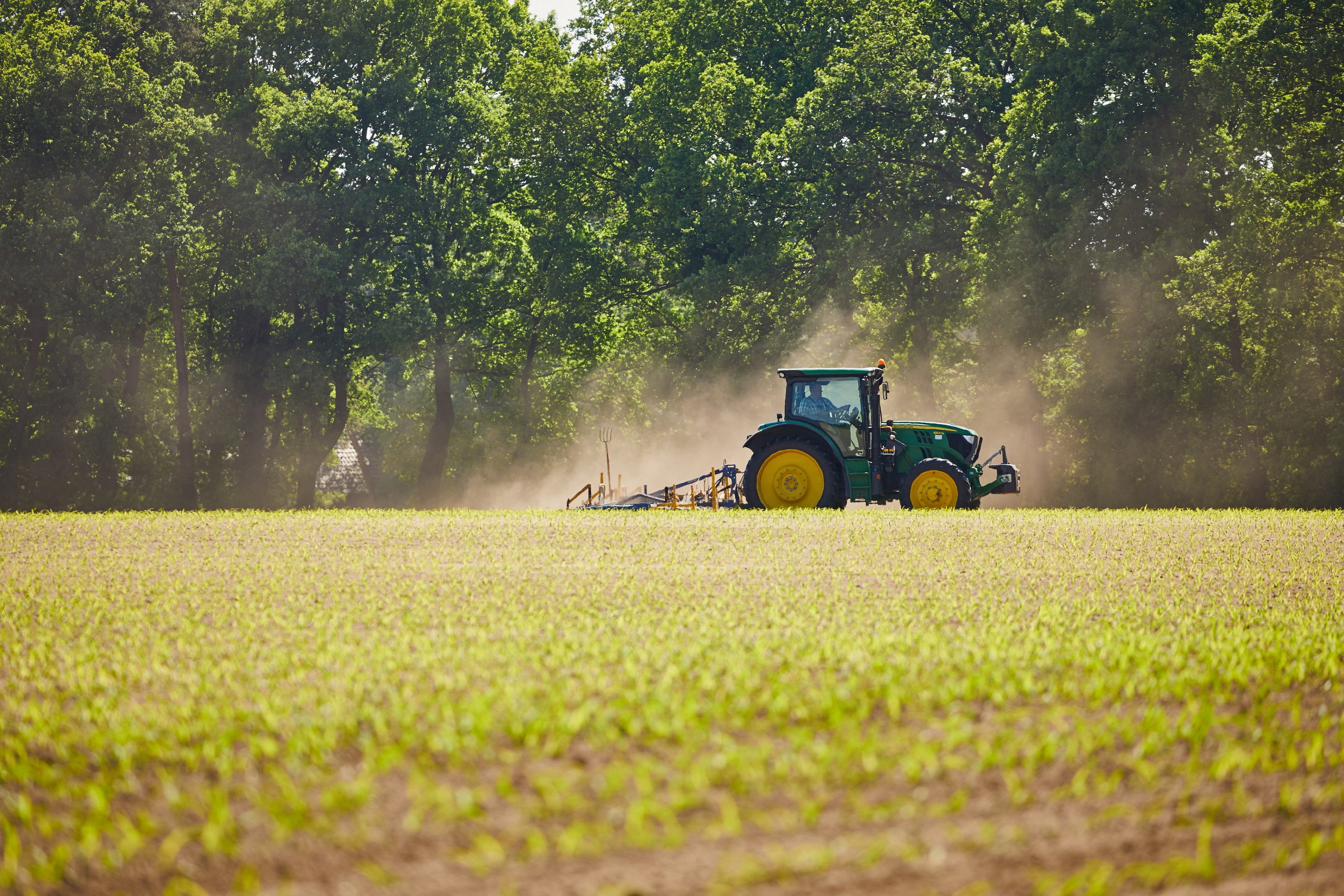 Traktor auf Feld
