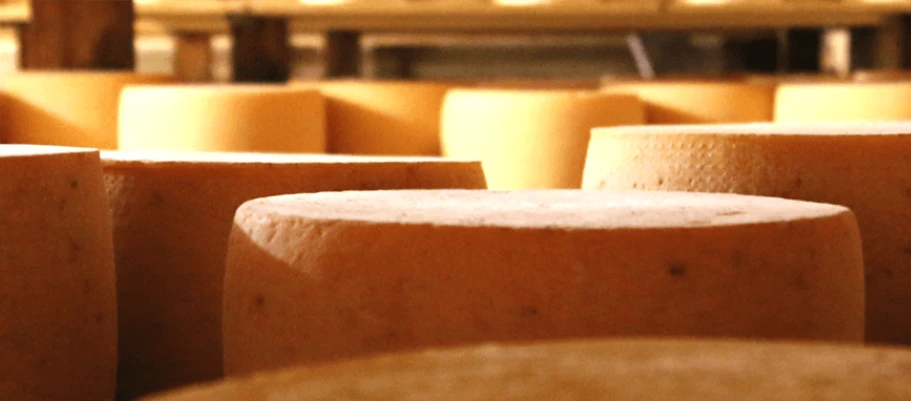 Käse Käse