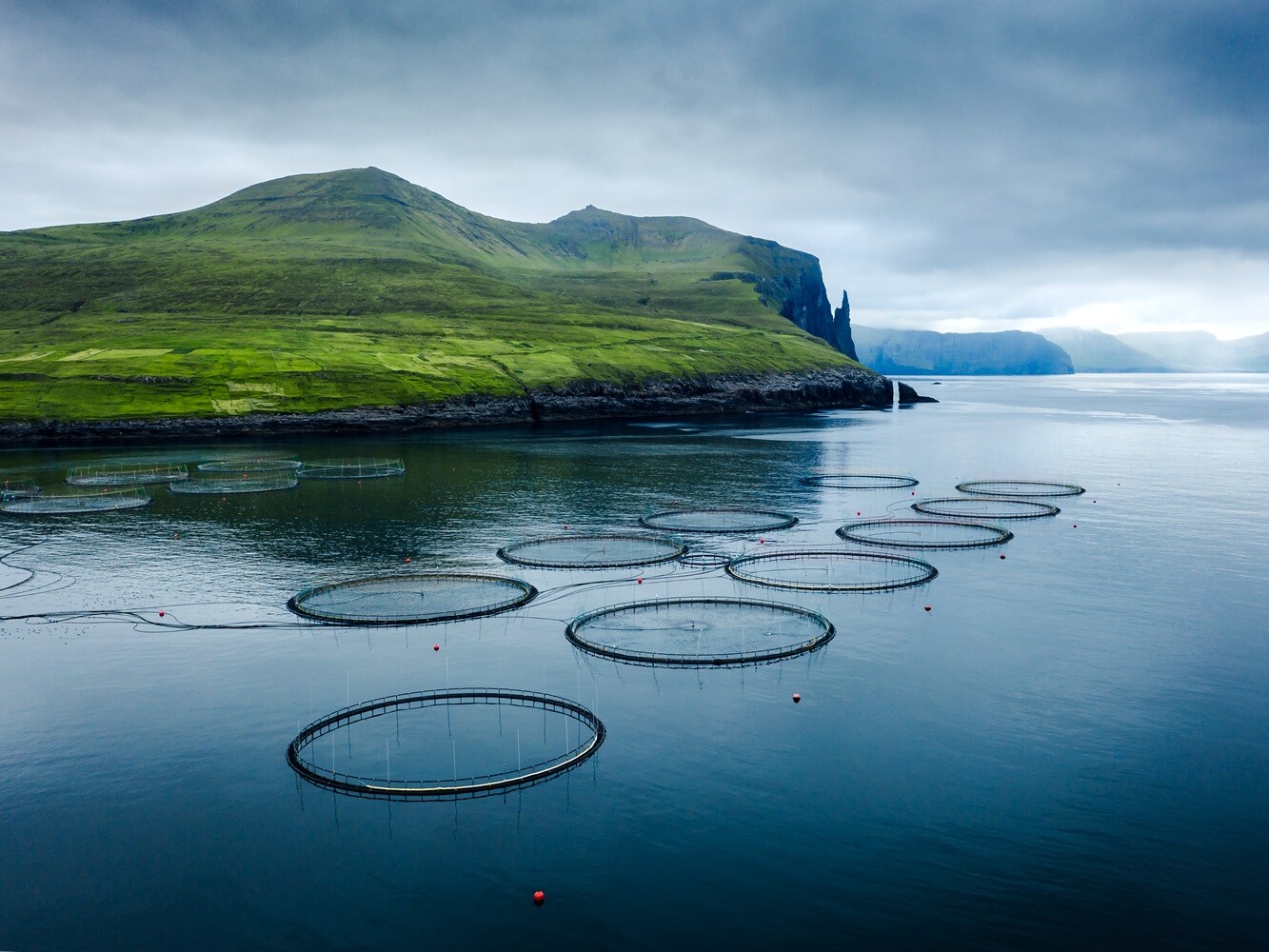 Mermaid Seafood - mit Verantwortung Runde Netze im Wasser vor einem grünen Hügel im Hintergrund.