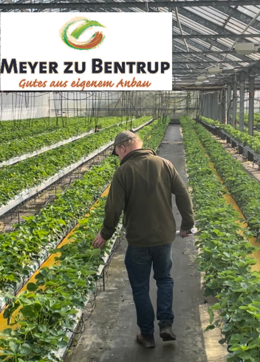 Meyer zu Bentrup