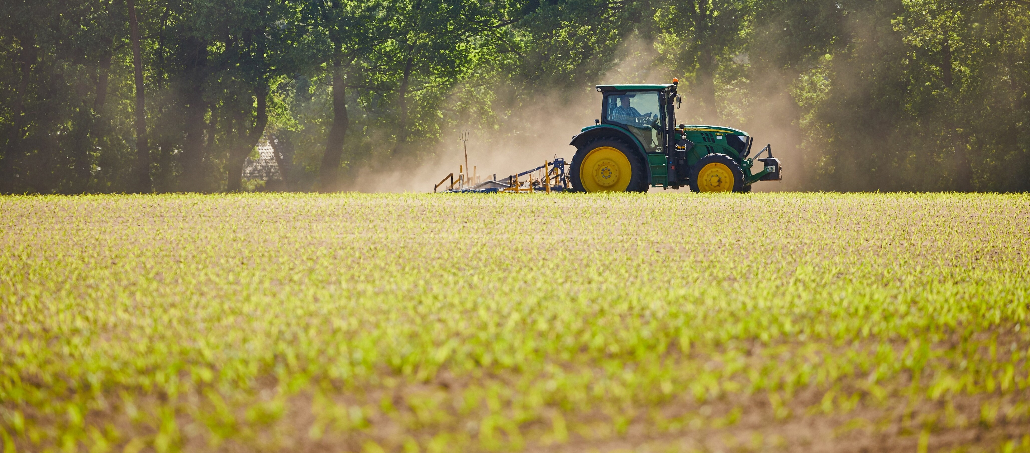 Kiebitzhof Traktor auf einem Feld
