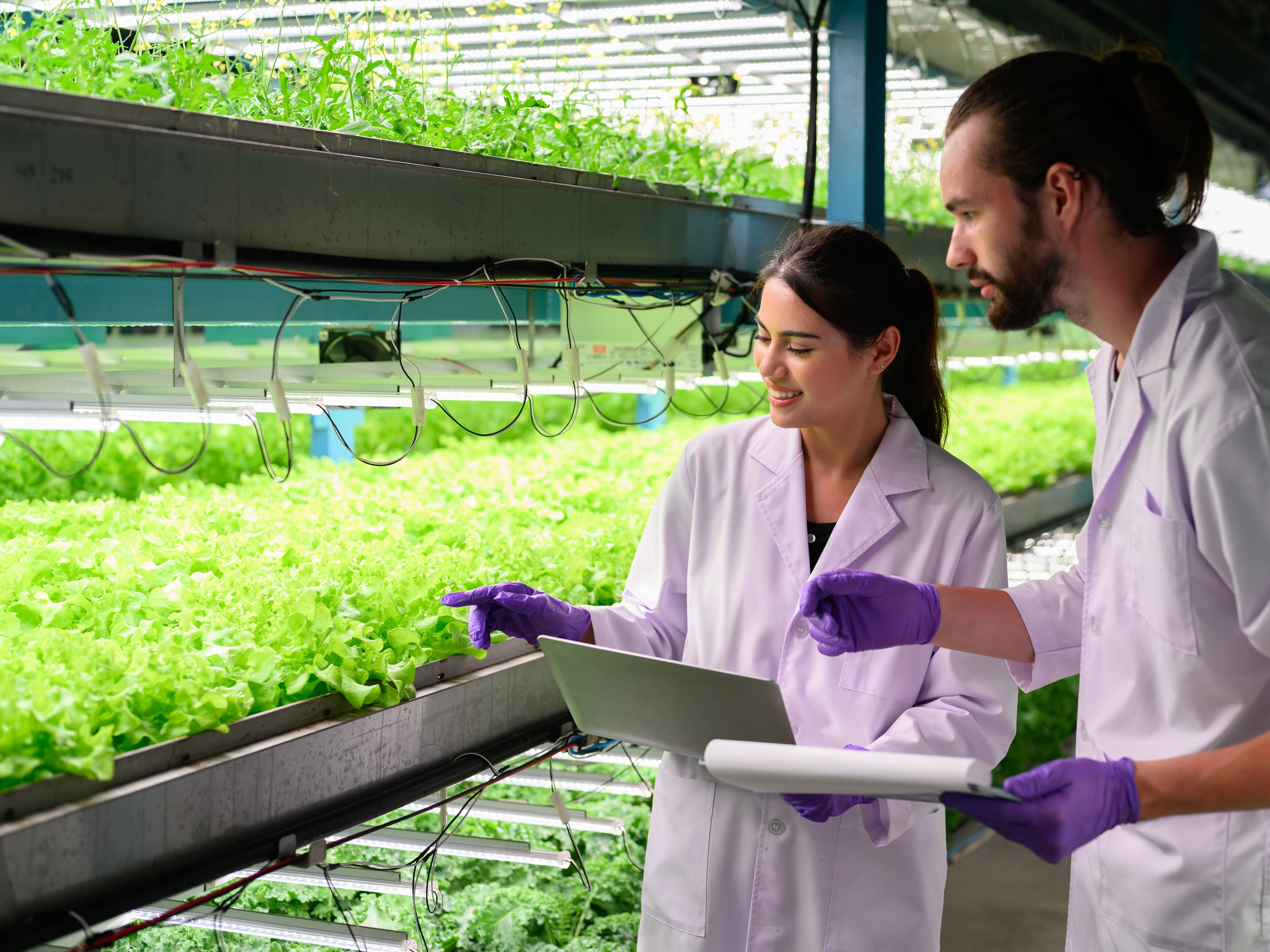 Vertical Farming