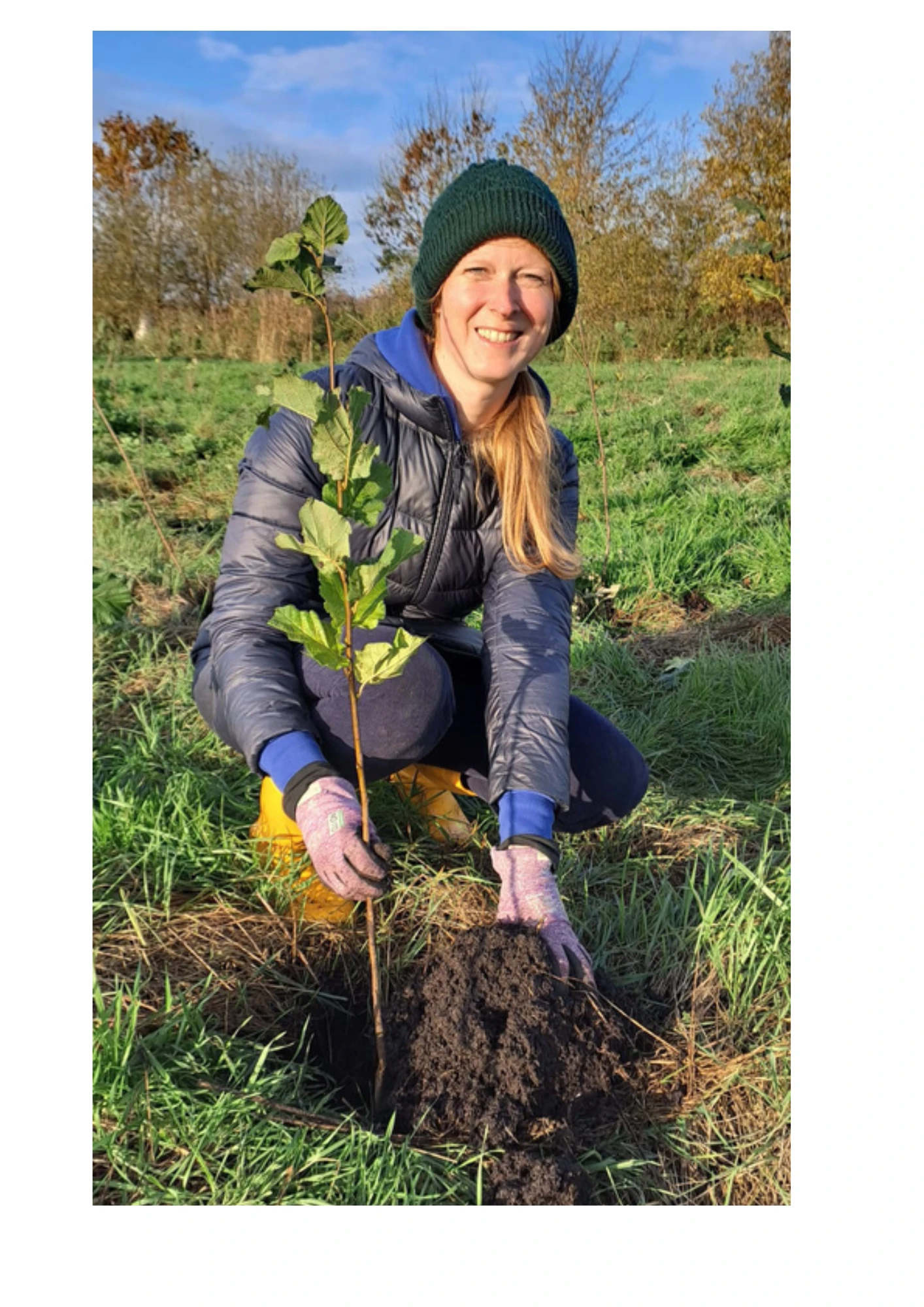 Deutschland Forstet Auf Frau pflanzt Baum ein