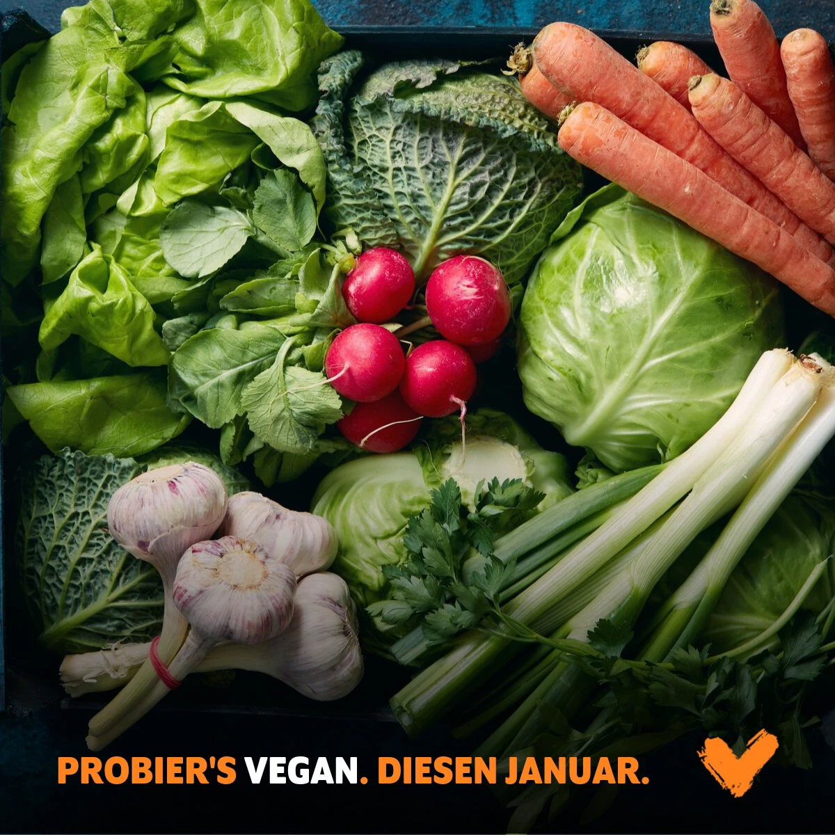 Veganuary Frisches Gemüse