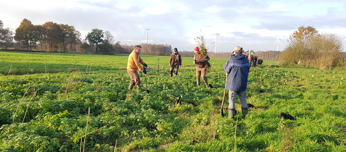 Menschen auf Feld pflanzen Bäume