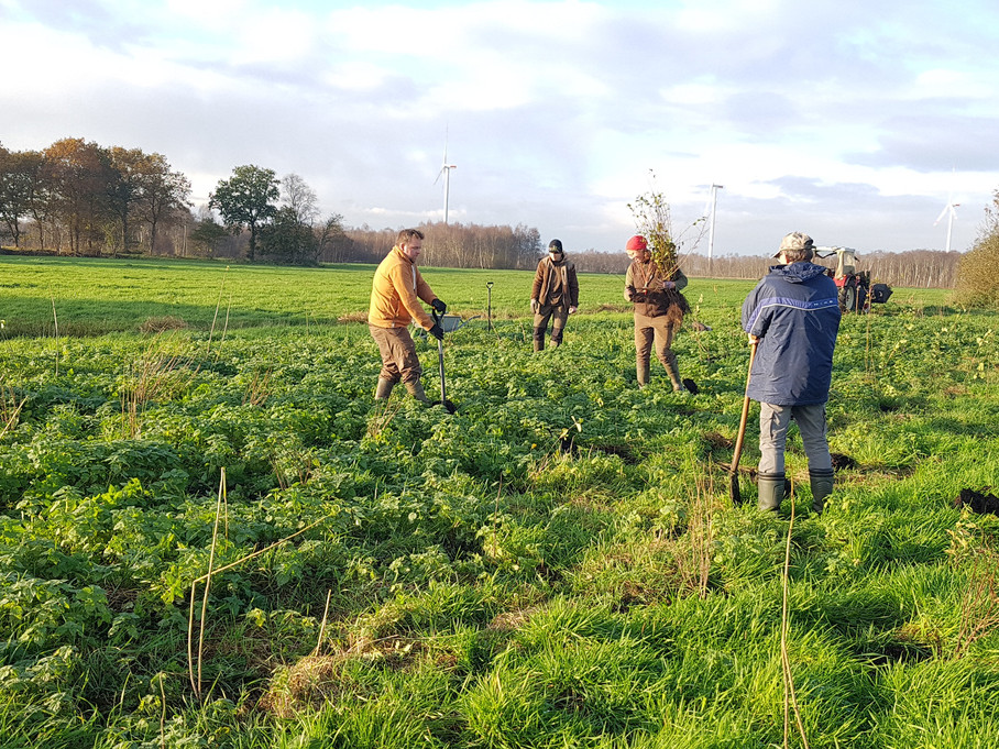 Menschen auf Feld pflanzen Bäume