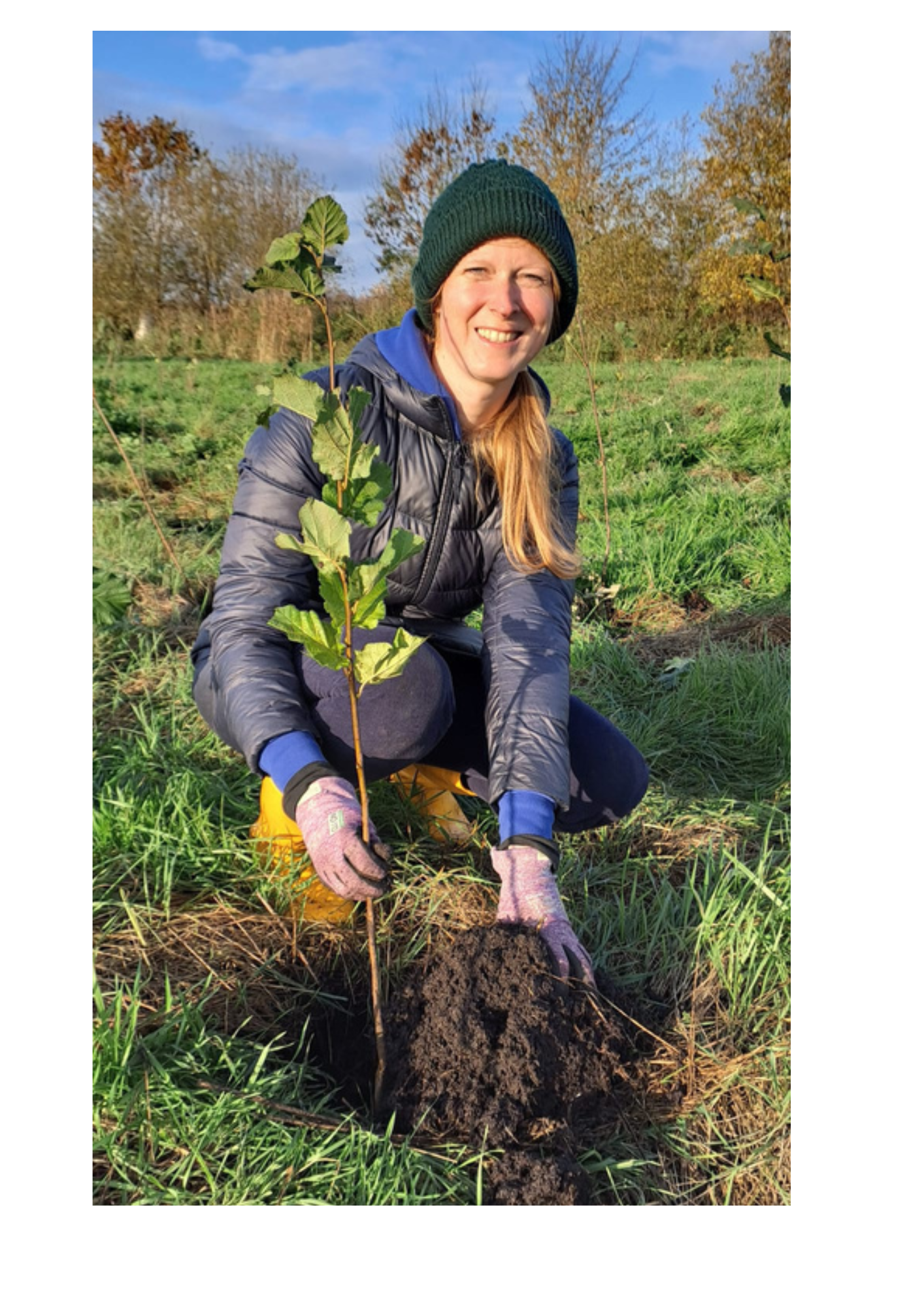 Frau pflanzt Baum ein