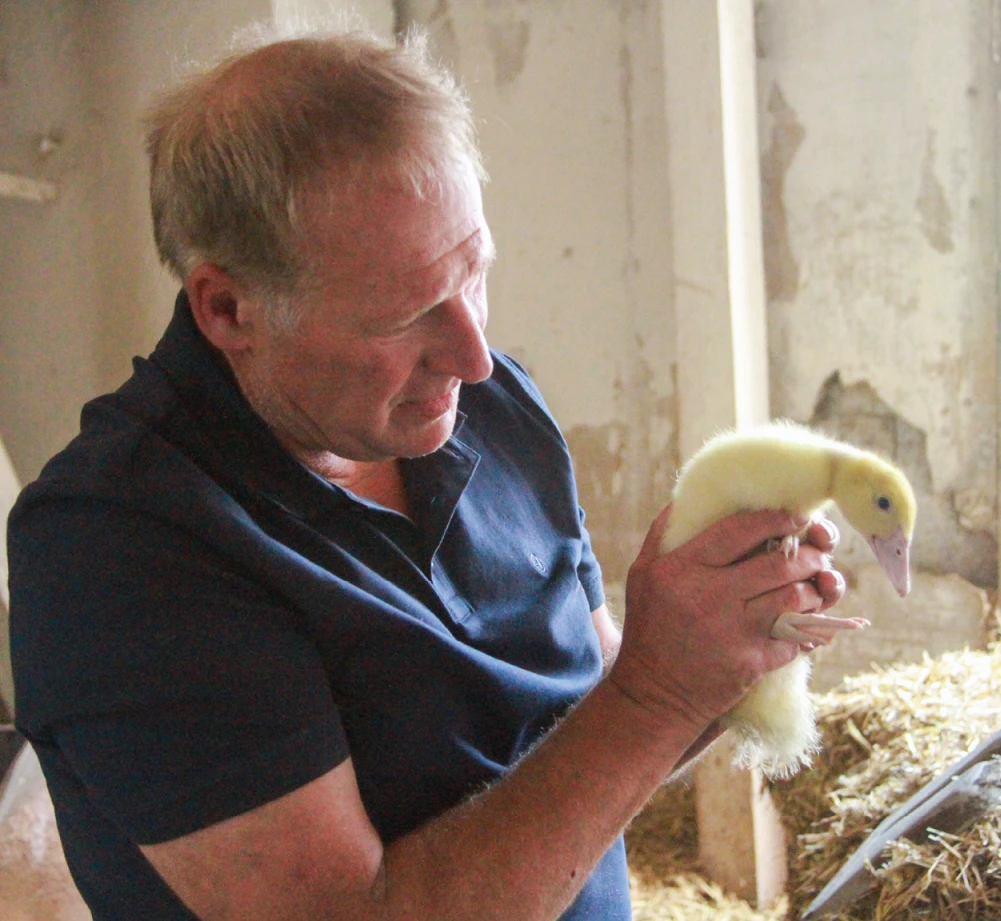 Baumhöver Ein Mann hält ein Entenküken.